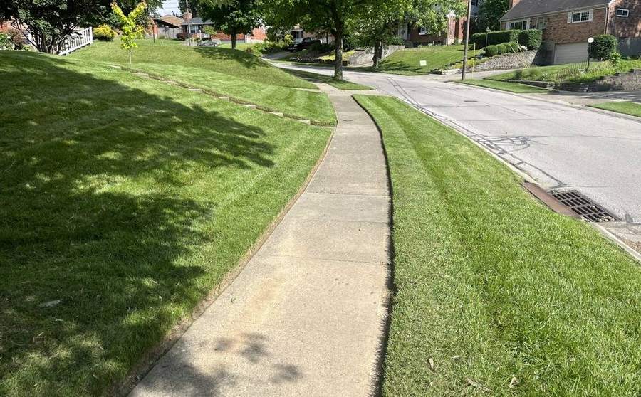 A striped freshly mown front lawn beside a long concrete walk curving out to a residential street, under tree shade.