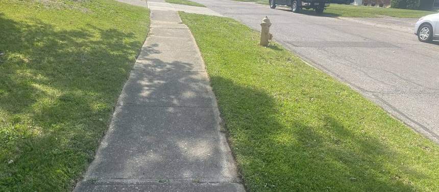 A mown front lawn running along a public sidewalk past a yellow fire hydrant on a quiet street.